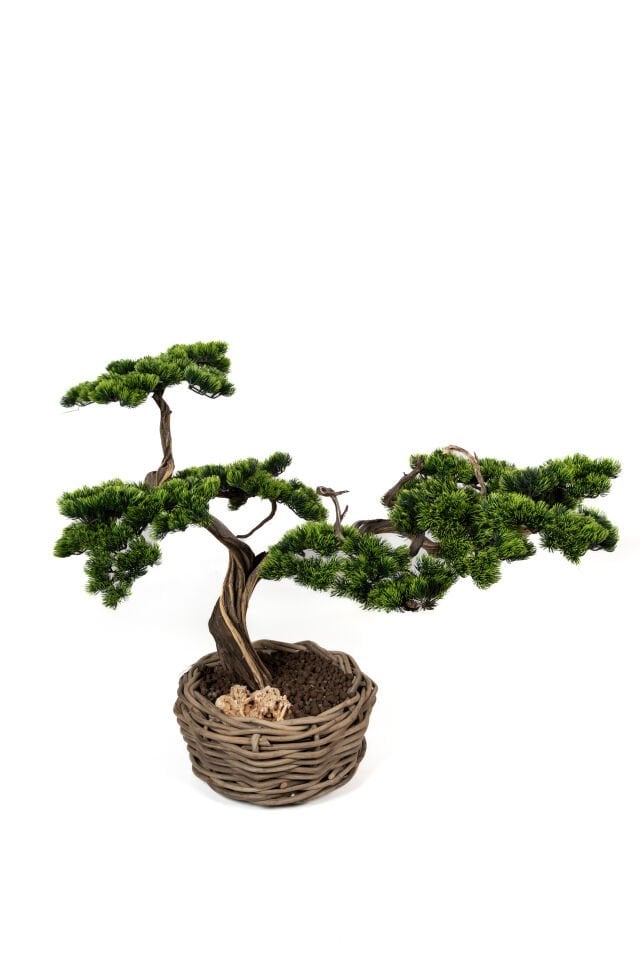 Doğal Gövdeli Yapay Bonsai Ağaç Saksılı 80 X 90 cm SA6555-011