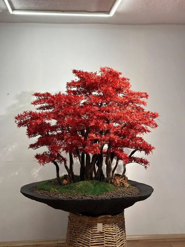 Doğal Gövdeli Yapay Bonsai Ağaç Saksılı 120 X 130 cm SA7430-007