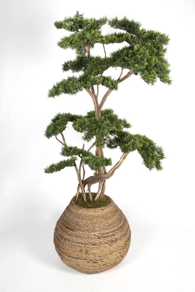 Doğal Gövdeli Yapay Bonsai Ağaç Saksılı 97 X 170 cm SA7431-001