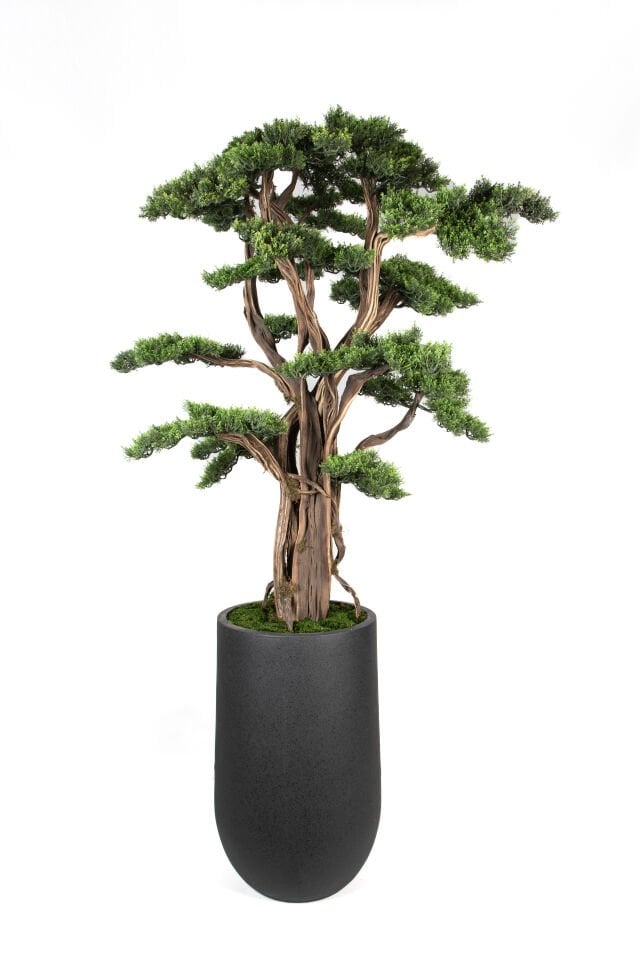 Doğal Gövdeli Yapay Bonsai Ağaç Saksılı 86 X 200 cm SA7431-032