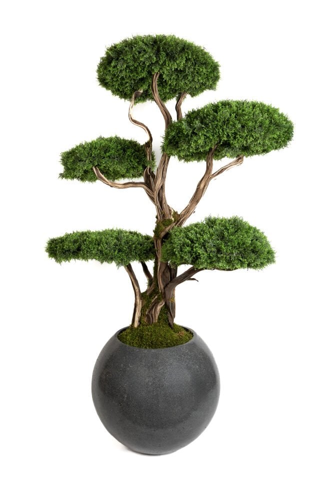 Doğal Gövdeli Yapay Bonsai Ağaç Saksılı 80 X 180 cm SA7431-041