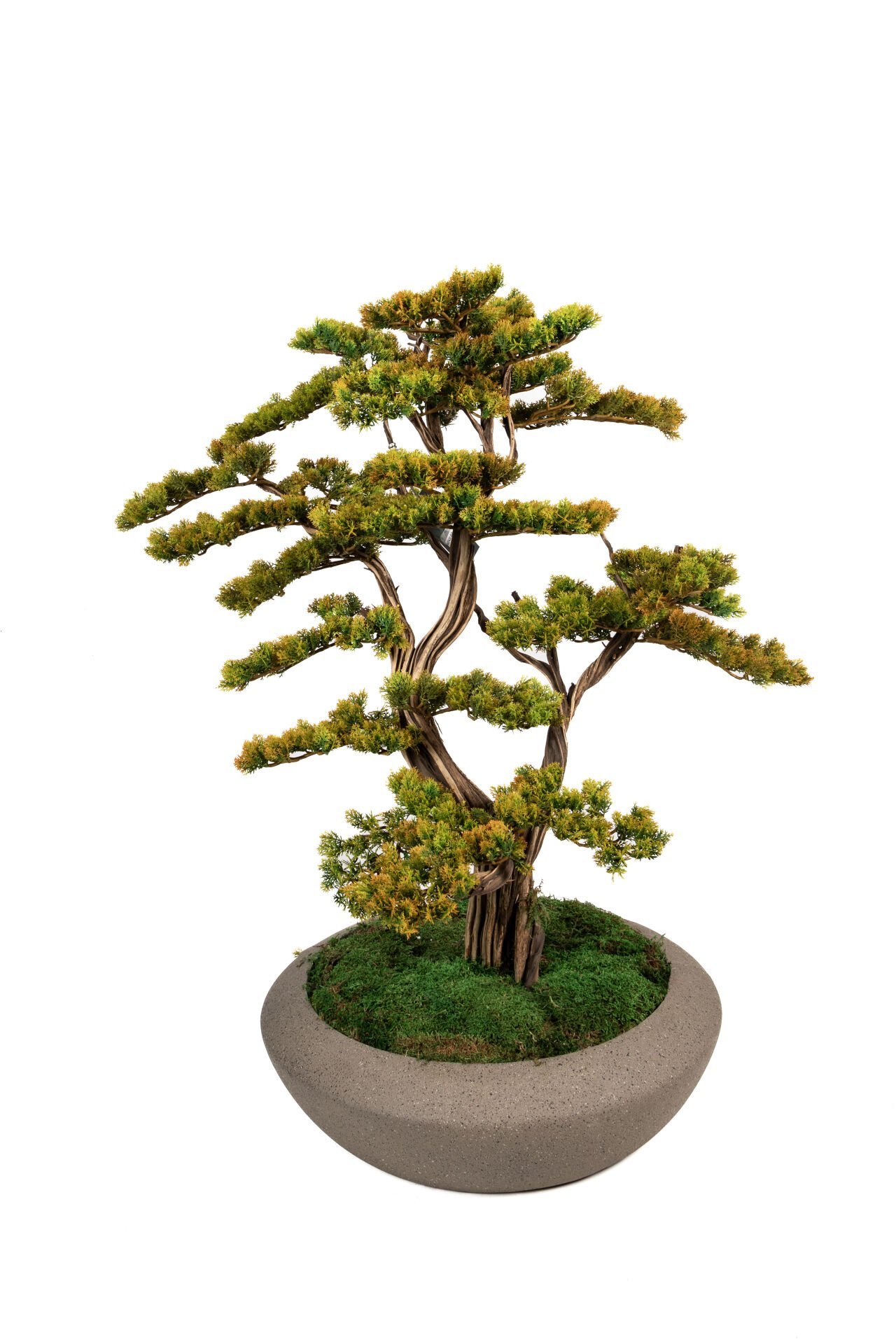 Doğal Gövdeli Yapay Bonsai Ağaç Saksılı 77 X 85 cm SA7432-050