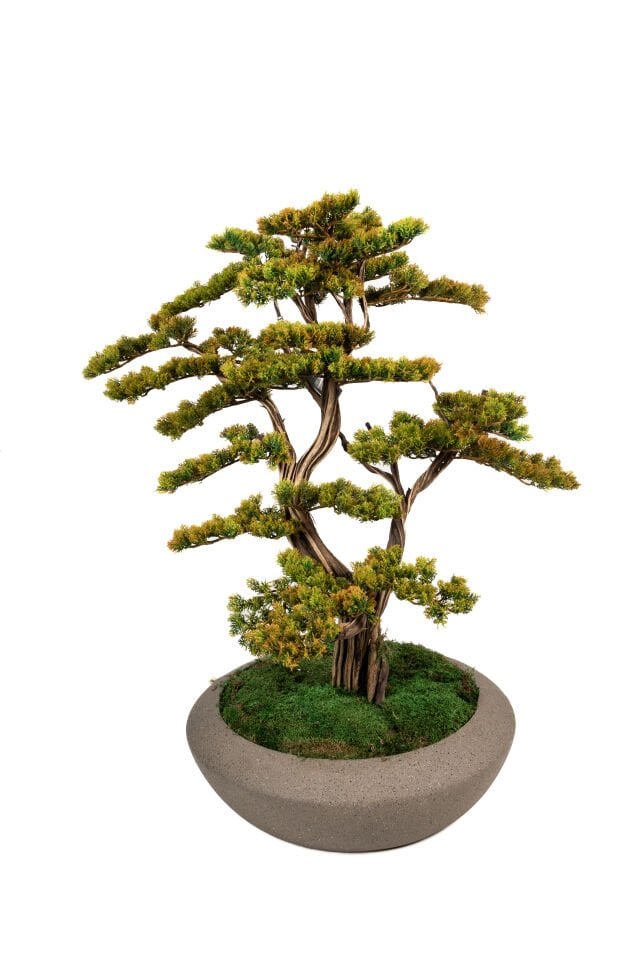 Doğal Gövdeli Yapay Bonsai Ağaç Saksılı 77 X 85 cm SA7432-050