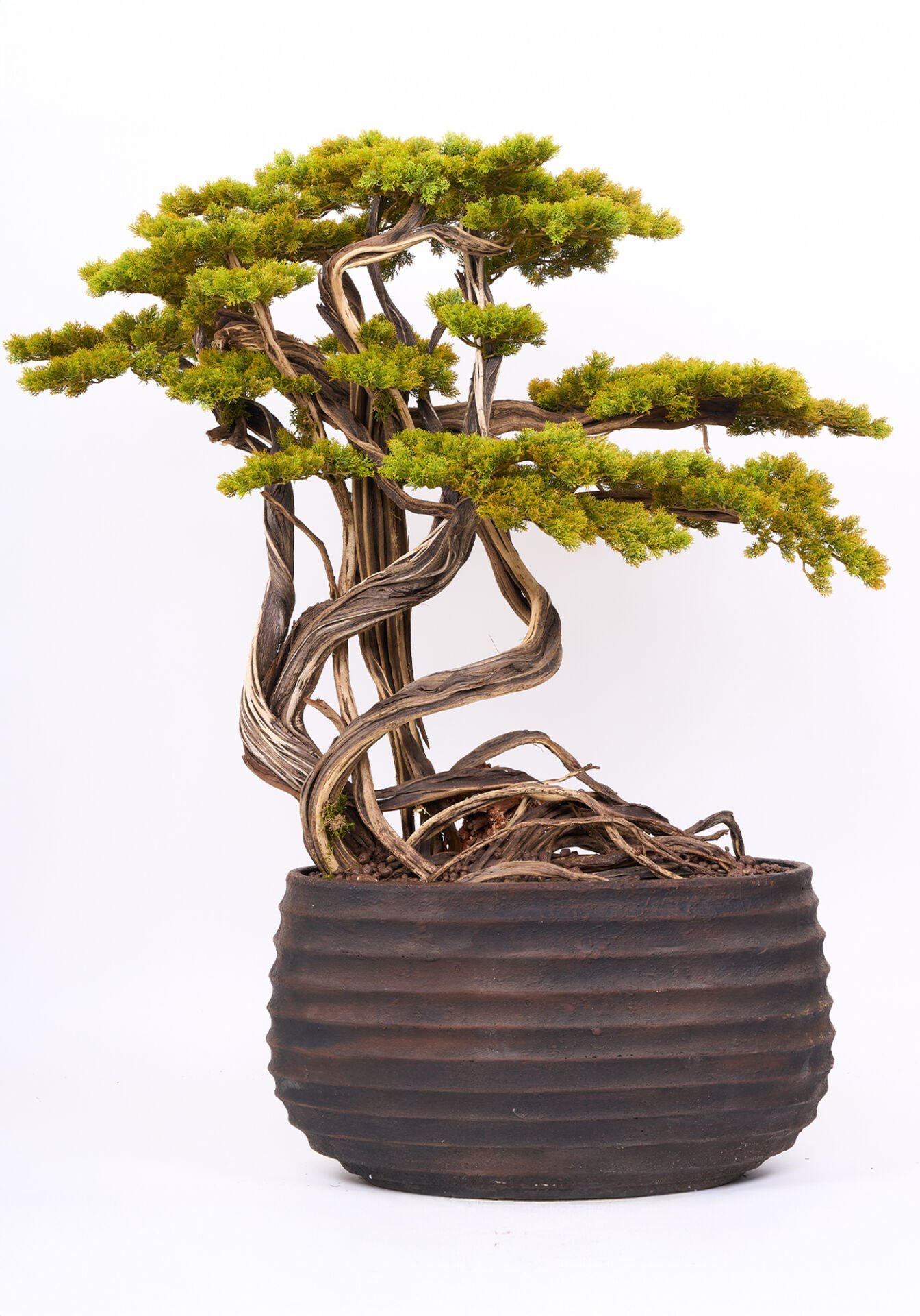 Doğal Gövdeli Yapay Bonsai Ağaç Saksılı 90 X 130 cm SA7432-062