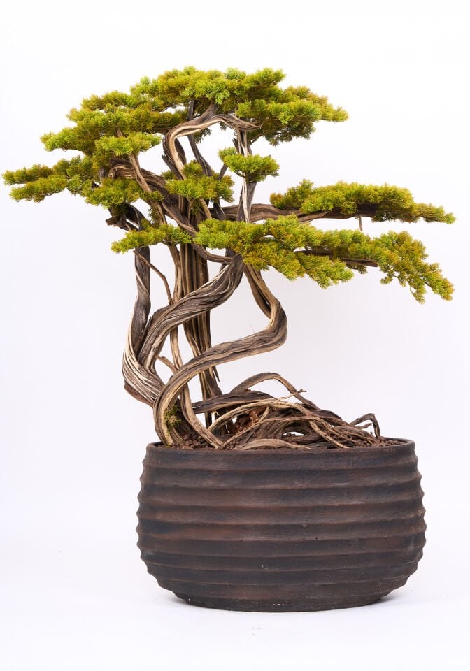 Doğal Gövdeli Yapay Bonsai Ağaç Saksılı 90 X 130 cm SA7432-062