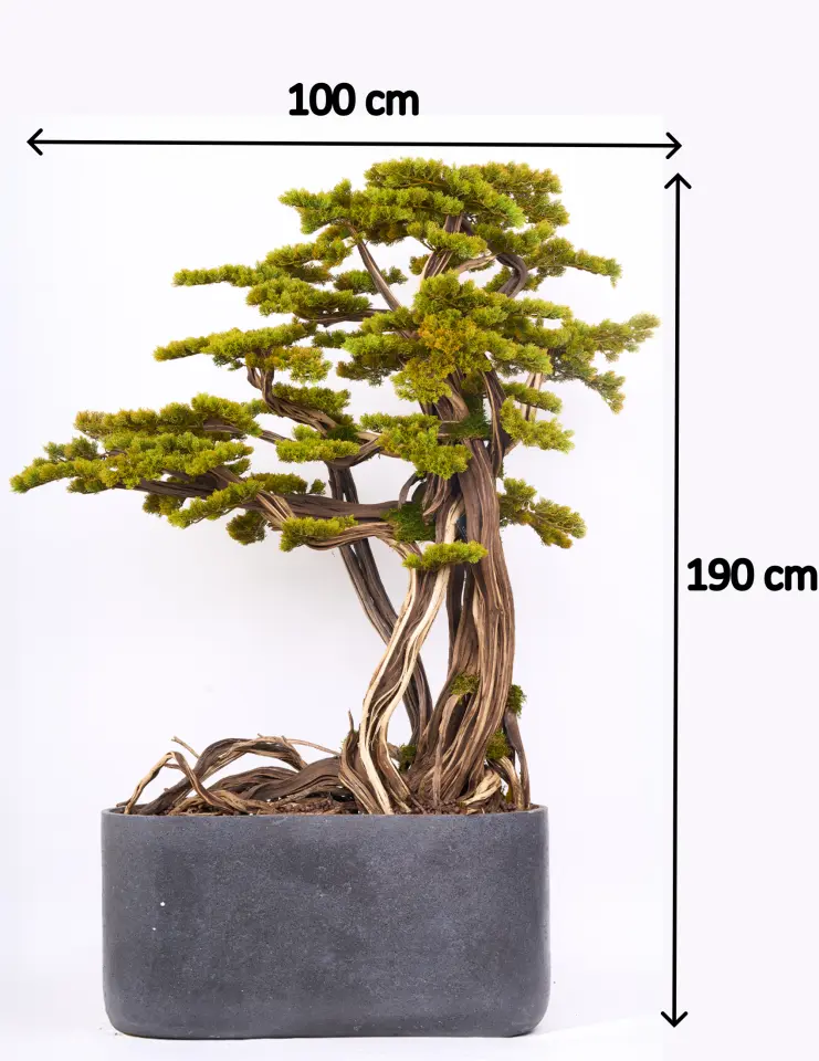 Doğal Gövdeli Yapay Bonsai Ağaç Saksılı 100 X 190 cm SA7432-063