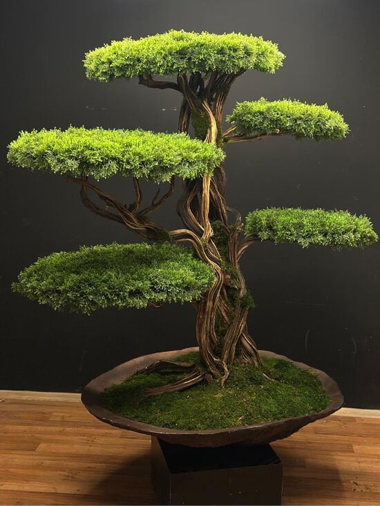 Doğal Gövdeli Yapay Bonsai Ağaç Saksılı 100 X 160 X 180 cm YSA-1020