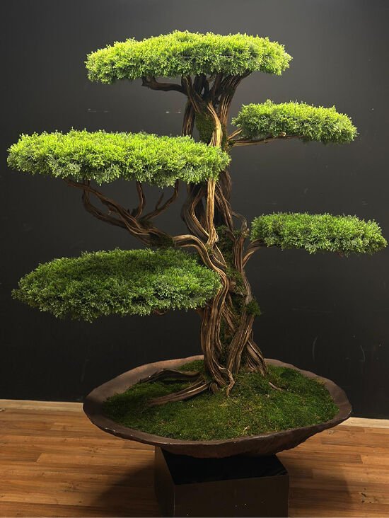 Doğal Gövdeli Yapay Bonsai Ağaç Saksılı 160 X 180 cm YSA-1020