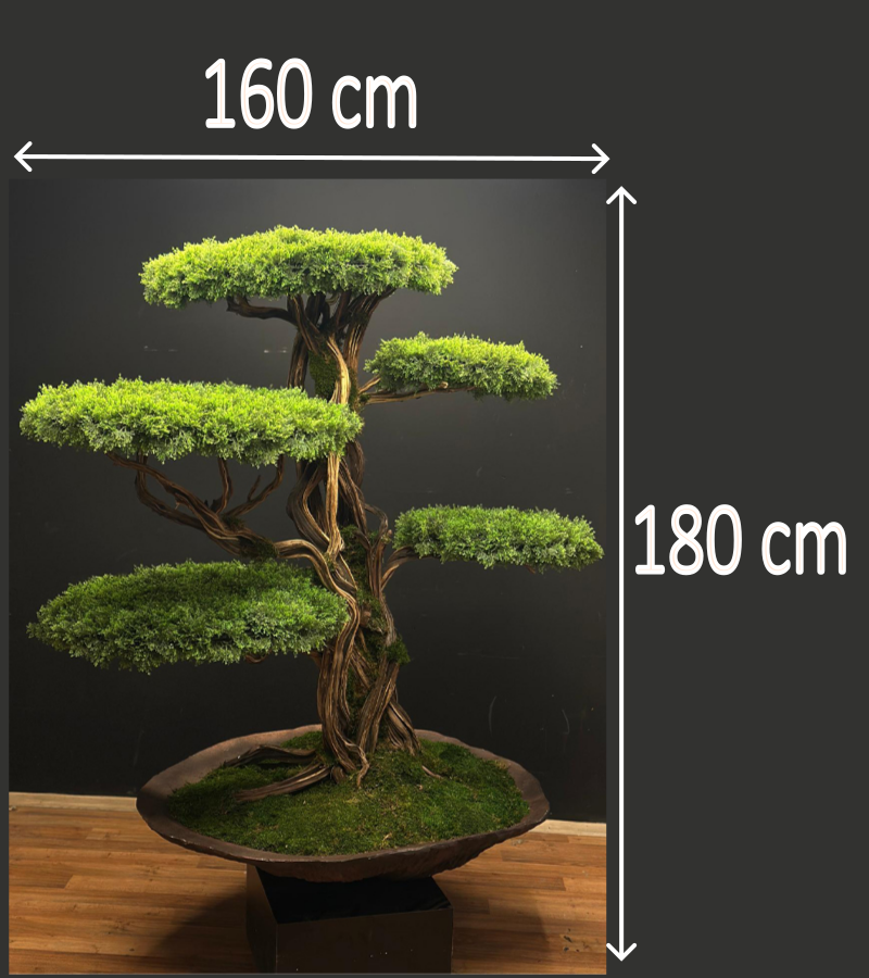 Doğal Gövdeli Yapay Bonsai Ağaç Saksılı 160 X 180 cm YSA-1020