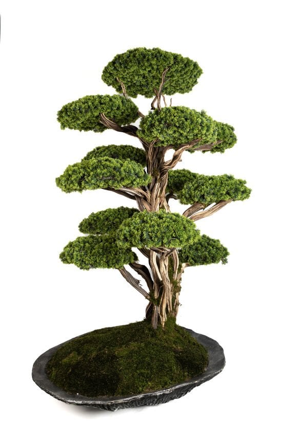 Doğal Gövdeli Yapay Bonsai Ağaç Saksılı 150 X 200 cm YSA-1021