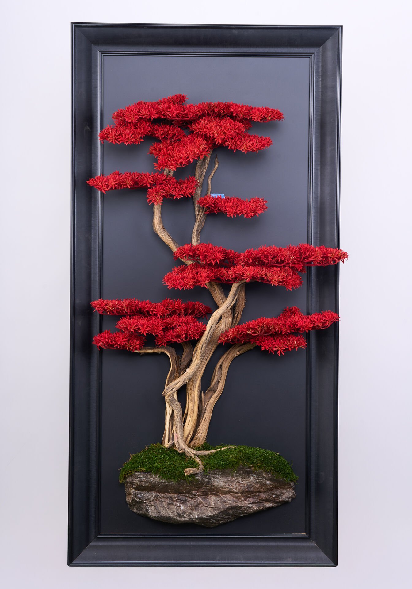 Doğal Ağaç Gövdeli Yapay Bonsai Tablo Dikdörtgen 60 X 130 cm TB-1242