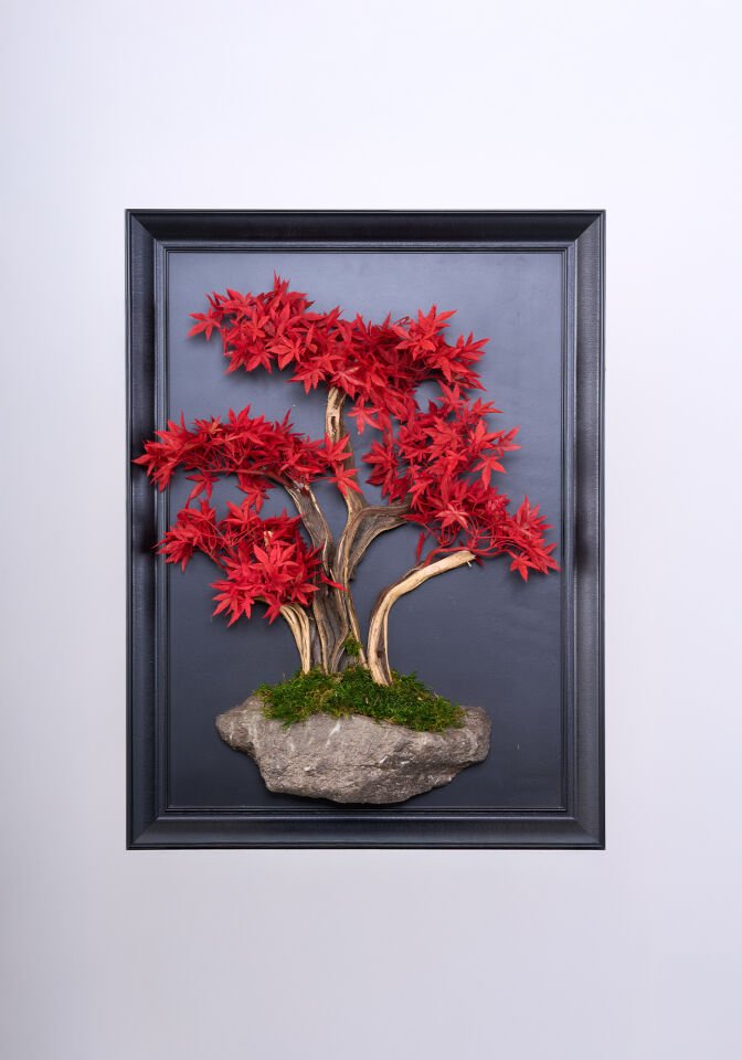 Doğal Ağaç Gövdeli Yapay Bonsai Tablo Dikdörtgen 50 X 70 cm TB-1253