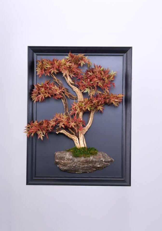 Doğal Ağaç Gövdeli Yapay Bonsai Tablo Dikdörtgen 50 X 70 cm TB-1254