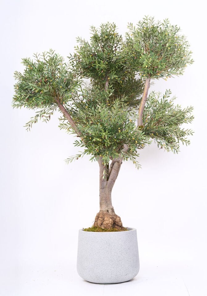 Doğal Gövde Yapay Zeytin UV Ağaç Saksılı 95 X 220 cm SZ2207-002
