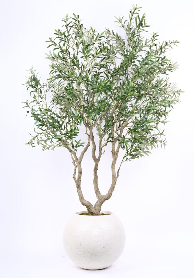 Hazır Gövde Yapay Zeytin Ağaç Saksılı 80 X 230 cm SZ2204-003