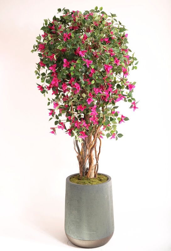 Doğal Ağaç Gövdeli Yapay Begonvil Ağaç Saksılı 84 X 190 cm SB3523-021