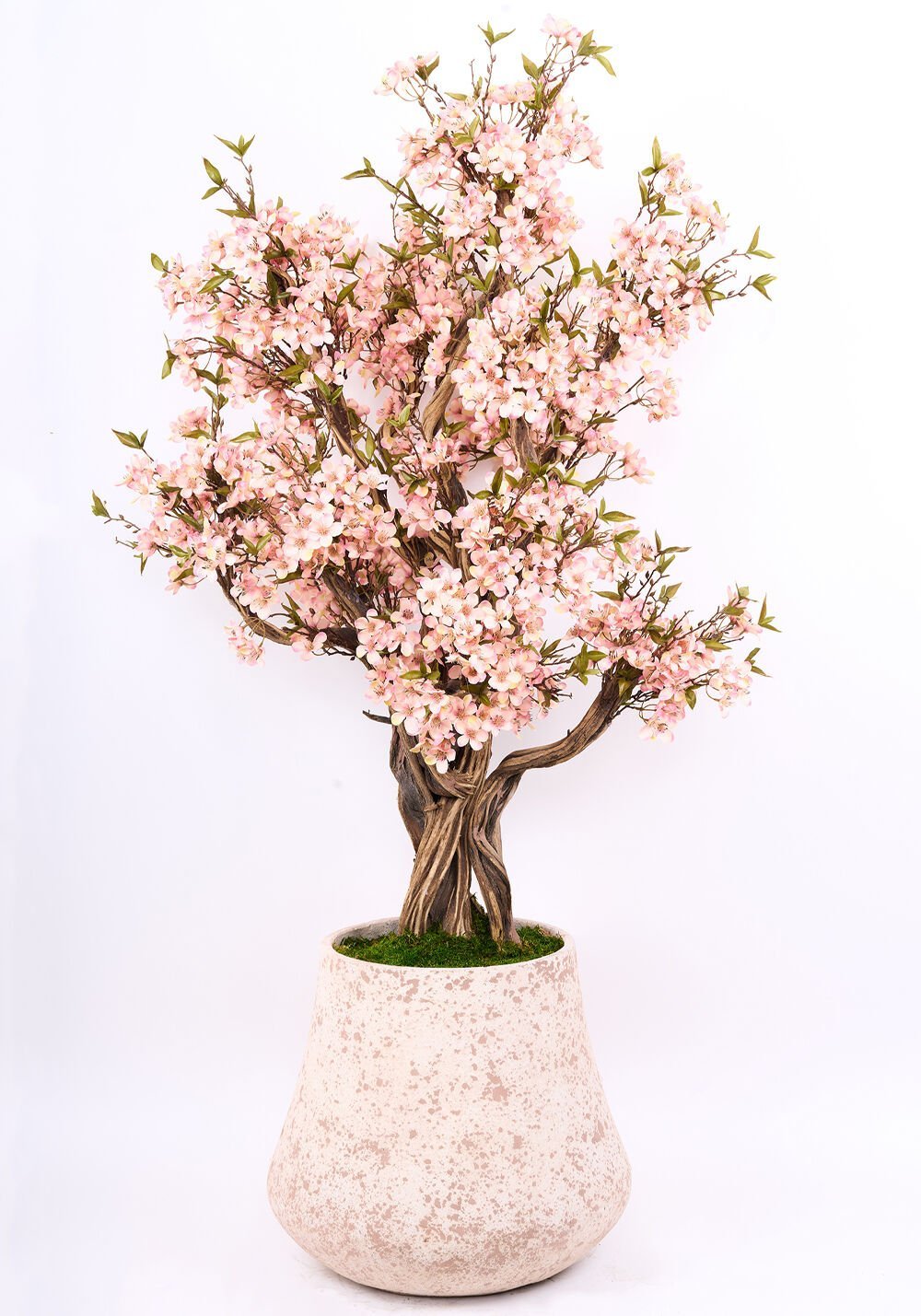 Doğal Ağaç Gövdeli Yapay Begonvil Ağaç Saksılı 95 X 180 cm SB7325-013