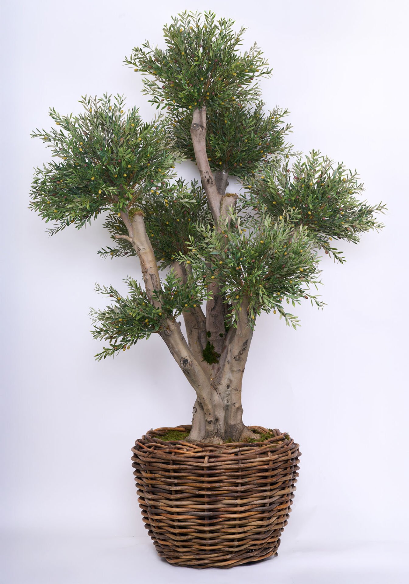 Doğal Gövde Yapay Zeytin UV Ağaç Saksılı 150 X 240 cm SZ2207-008