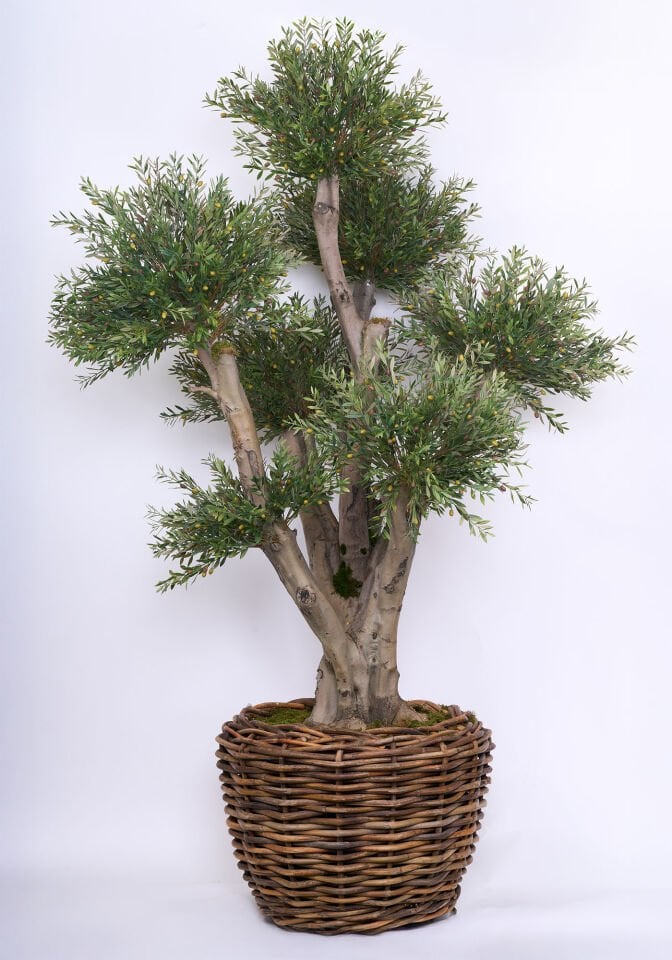 Doğal Gövde Yapay Zeytin UV Ağaç Saksılı 150 X 240 cm SZ2207-008