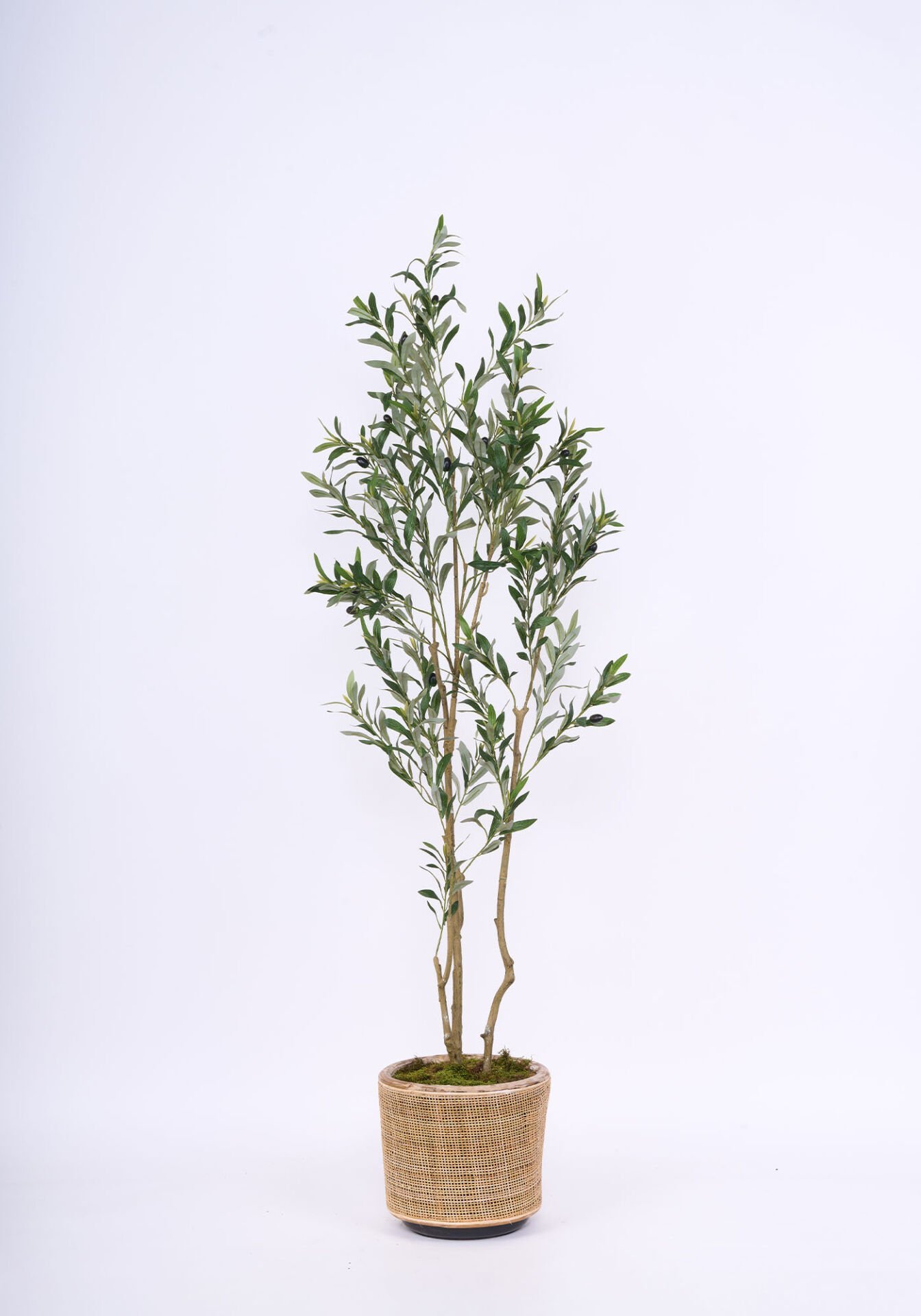 Hazır Gövde Yapay Zeytin Ağaç Saksılı 60 X 190 cm SZ2245-006