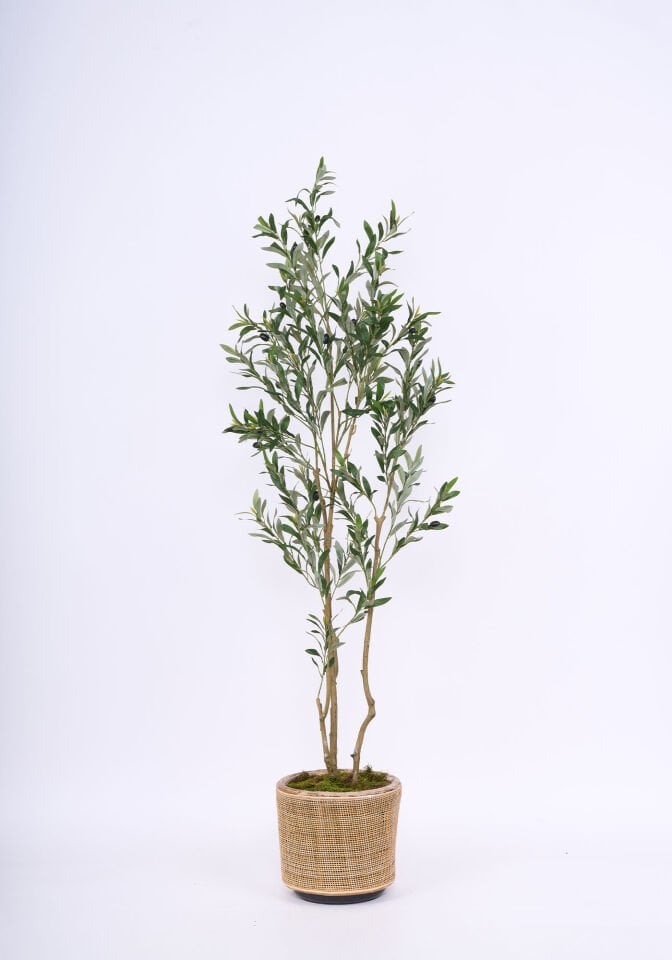 Hazır Gövde Yapay Zeytin Ağaç Saksılı 60 X 190 cm SZ2245-006