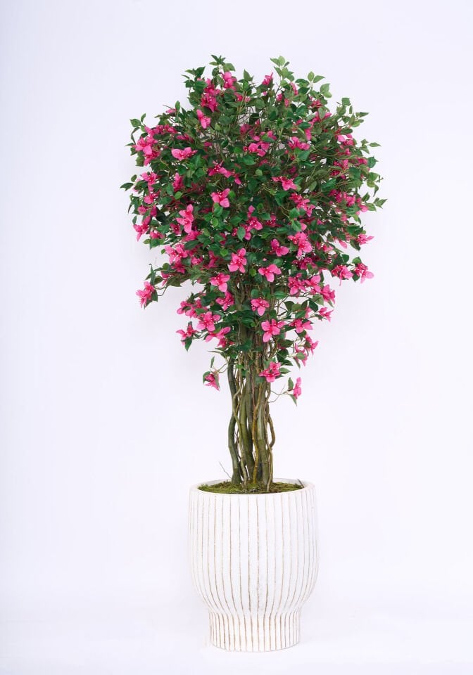 Doğal Ağaç Gövdeli Yapay Begonvil Ağaç Saksılı 80 X 200 cm SB3523-019