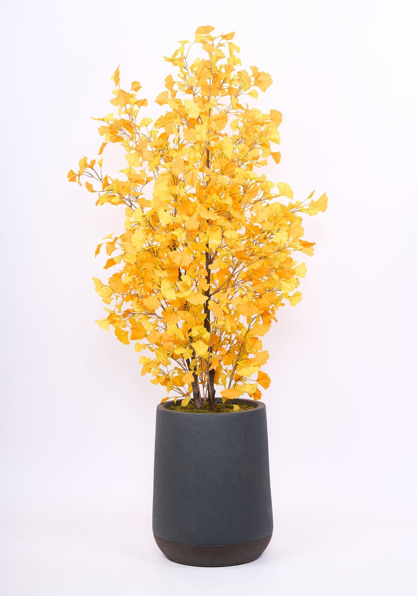 Hazır Gövde Yapay Ginkgo Ağaç Saksılı 100 X 210 cm SB3518-024