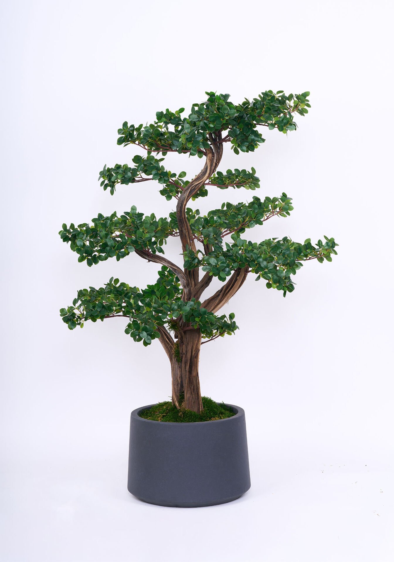 Doğal Gövdeli Yapay Bonsai Ağaç Saksılı 90 X 140 cm SA2195-013