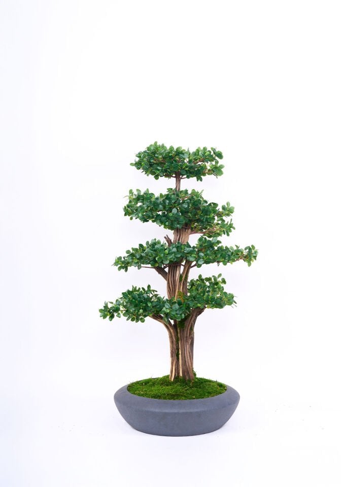 Doğal Gövdeli Yapay Bonsai Ağaç Saksılı 50 X 110 cm SA2195-015