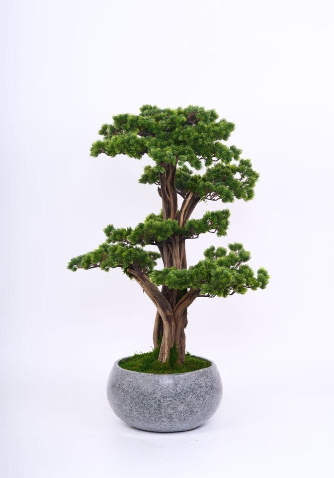 Doğal Gövdeli Yapay Bonsai Ağaç Saksılı 50 X 110 cm SA2236-030