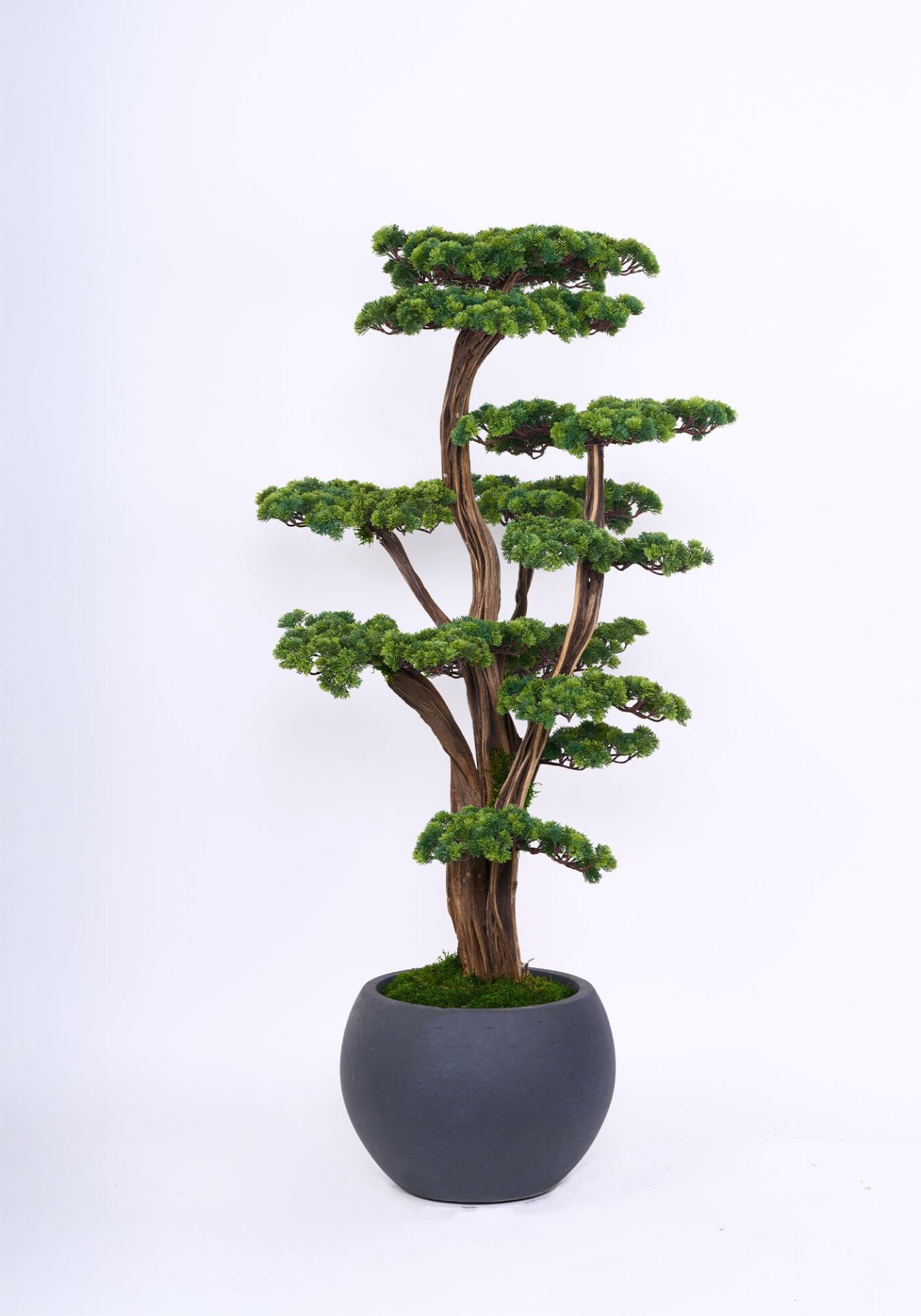 Doğal Gövdeli Yapay Bonsai Ağaç Saksılı 50 X 170 cm SA2238-045
