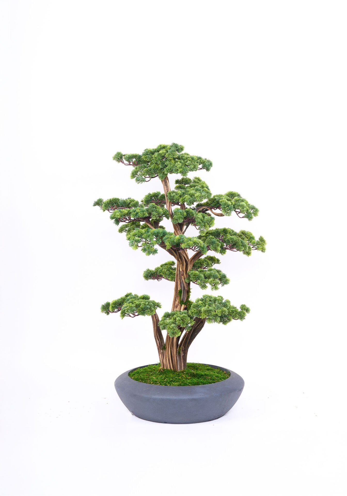 Doğal Gövdeli Yapay Bonsai Ağaç Saksılı 45 X 115 cm SA2238-054