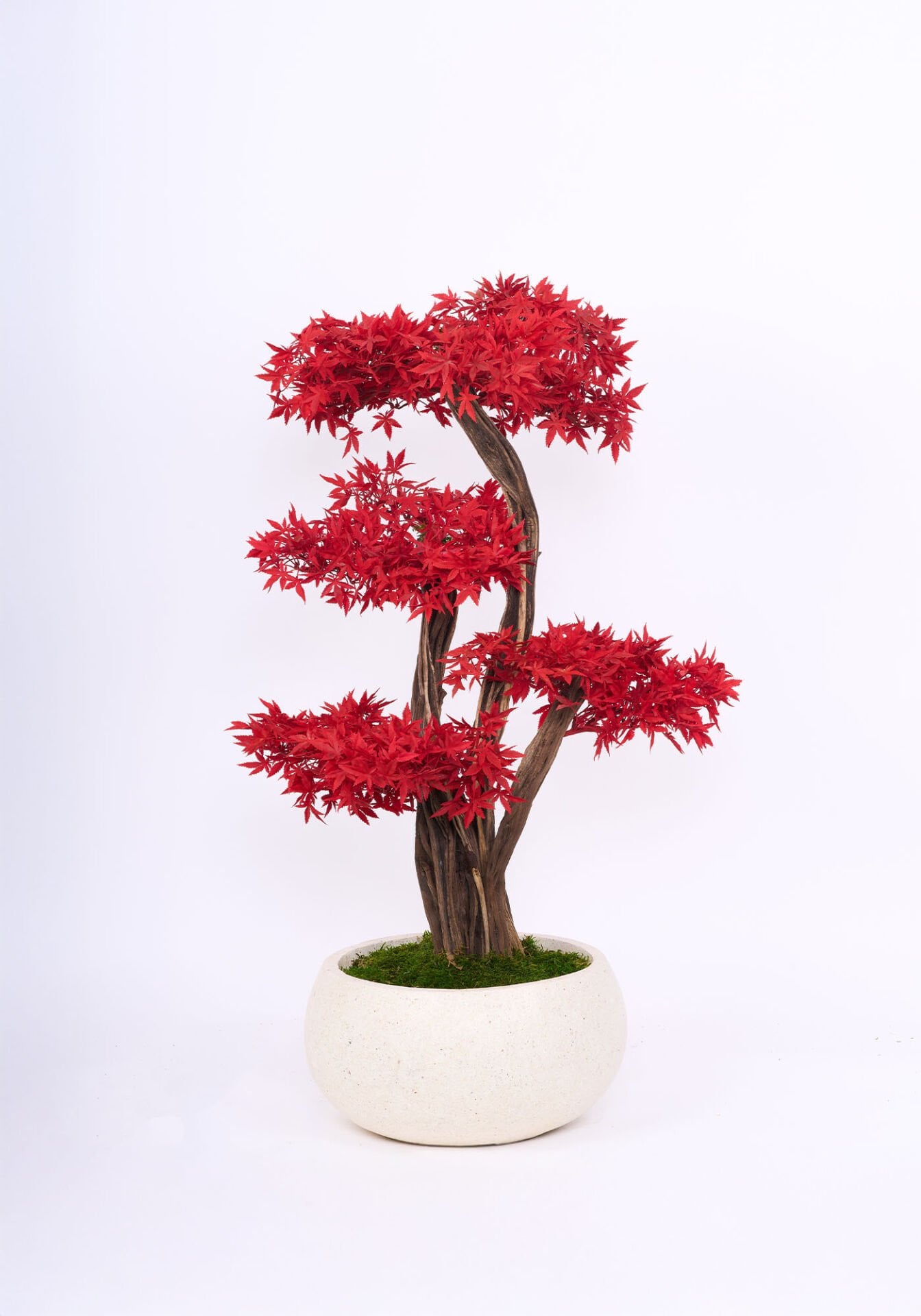 Doğal Gövdeli Yapay Bonsai Ağaç Saksılı 45 X 110 cm SA2239-010