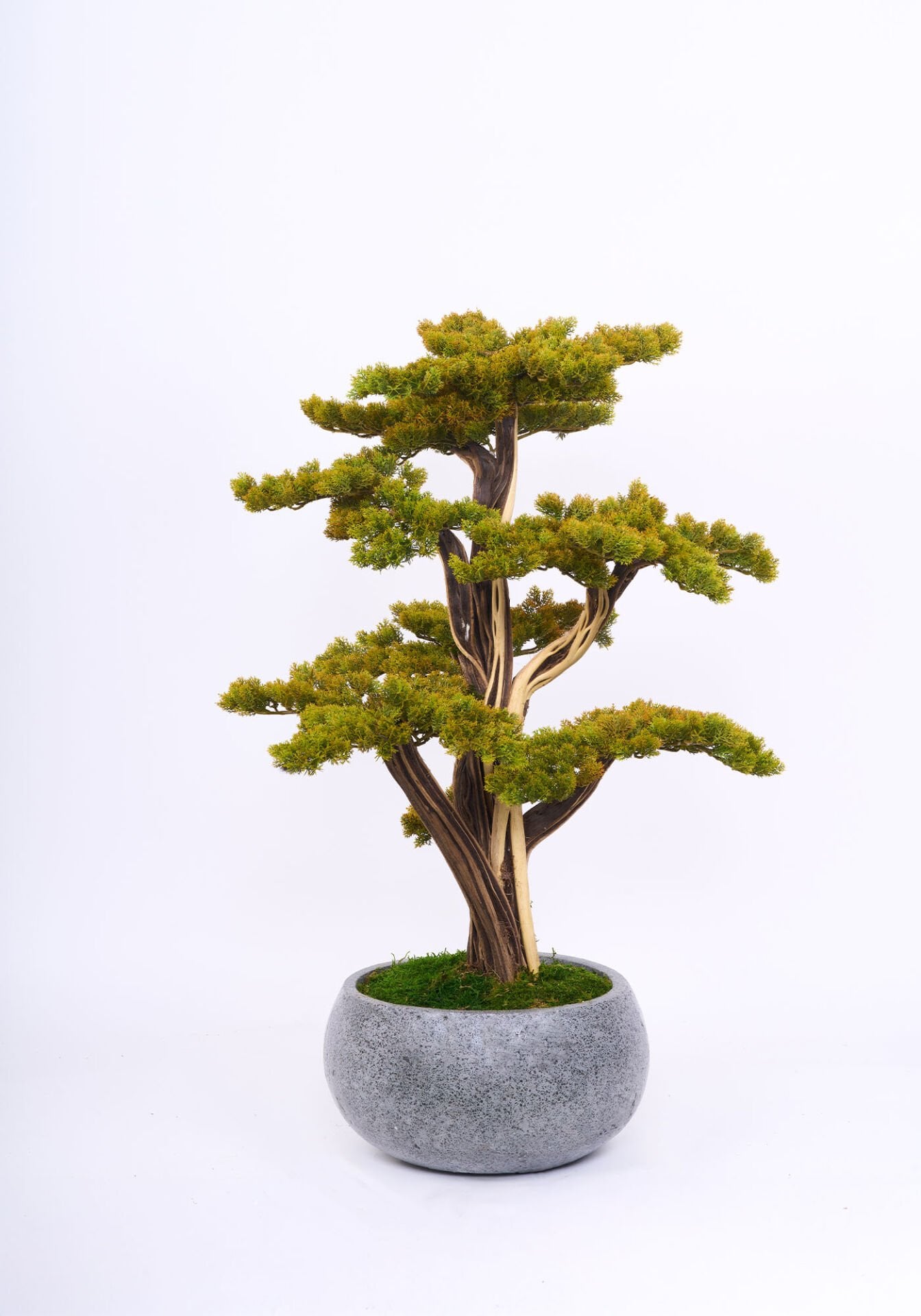 Doğal Gövdeli Yapay Bonsai Ağaç Saksılı 45 X 100 cm SA7432-079