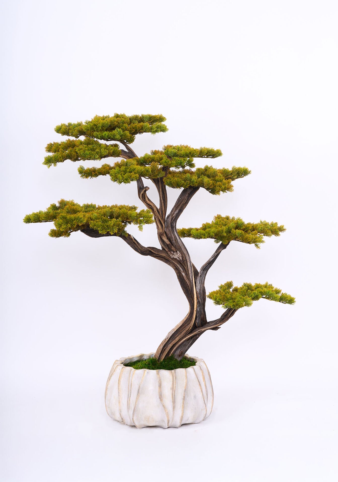 Doğal Gövdeli Yapay Bonsai Ağaç Saksılı 60 X 120 cm SA7432-080