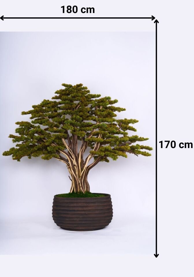 Doğal Gövdeli Yapay Bonsai Ağaç Saksılı 180 X 170 cm YSA-1054