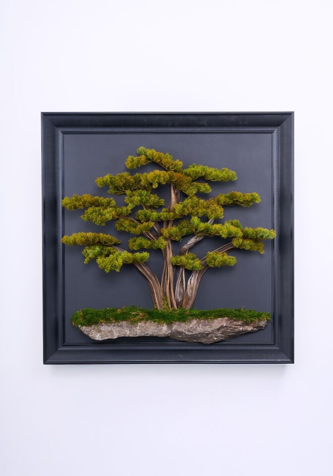 Doğal Ağaç Gövdeli Yapay Bonsai Tablo Dikdörtgen 100 X 100 cm TB-1305
