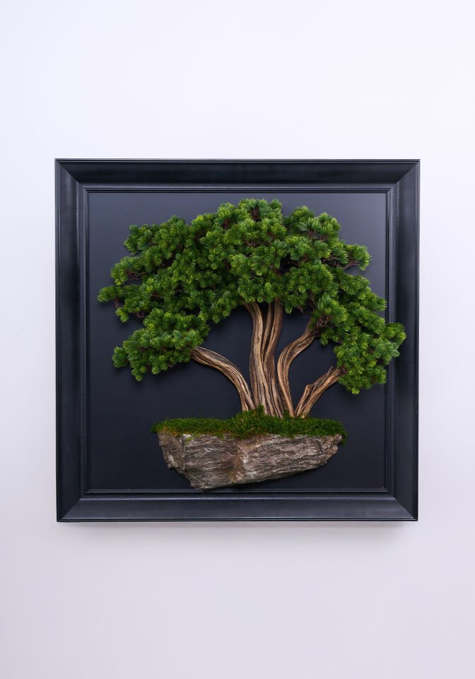 Doğal Ağaç Gövdeli Yapay Bonsai Tablo Dikdörtgen 100 X 100 cm TB-1329