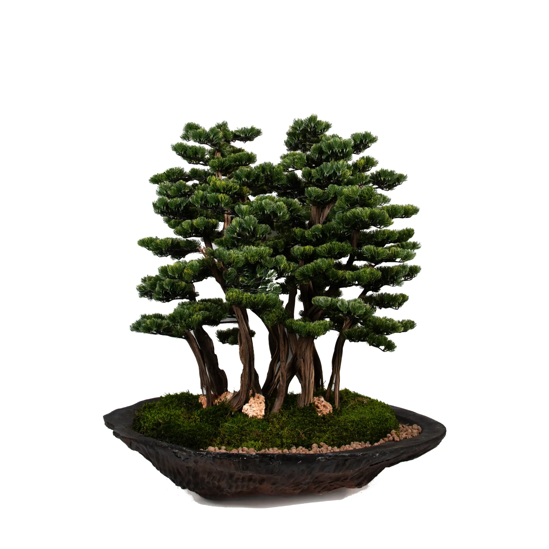 Doğal Gövdeli Yapay Bonsai Ağaç Saksılı 120 X 130 cm SA2192-001