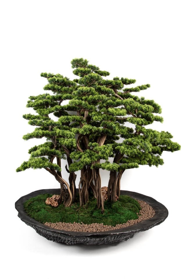 Doğal Gövdeli Yapay Bonsai Ağaç Saksılı 120 X 130 cm SA2193-001