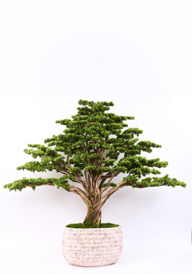 Doğal Gövdeli Yapay Bonsai Ağaç Saksılı 220 X 170 cm SA2193-089