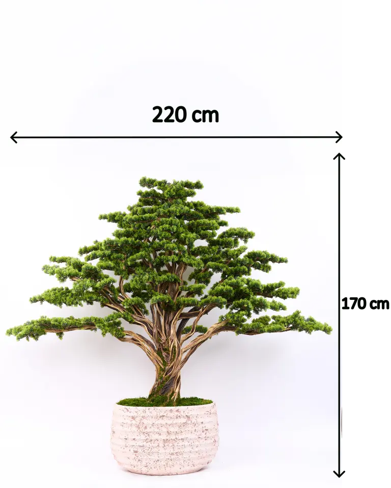 Doğal Gövdeli Yapay Bonsai Ağaç Saksılı 220 X 170 cm SA2193-089