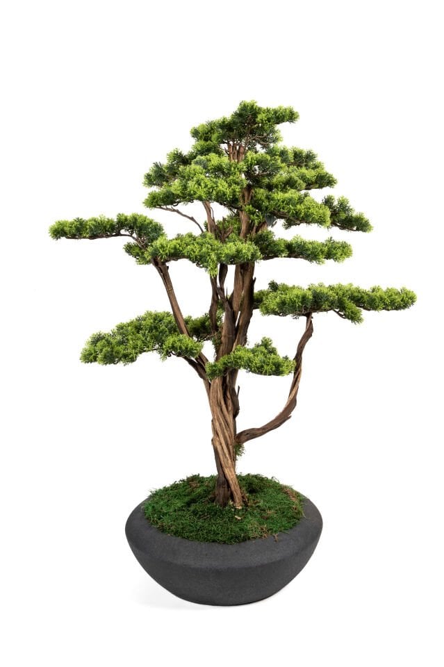 Doğal Gövdeli Yapay Bonsai Ağaç Saksılı 97 X 120 cm SA2193-082