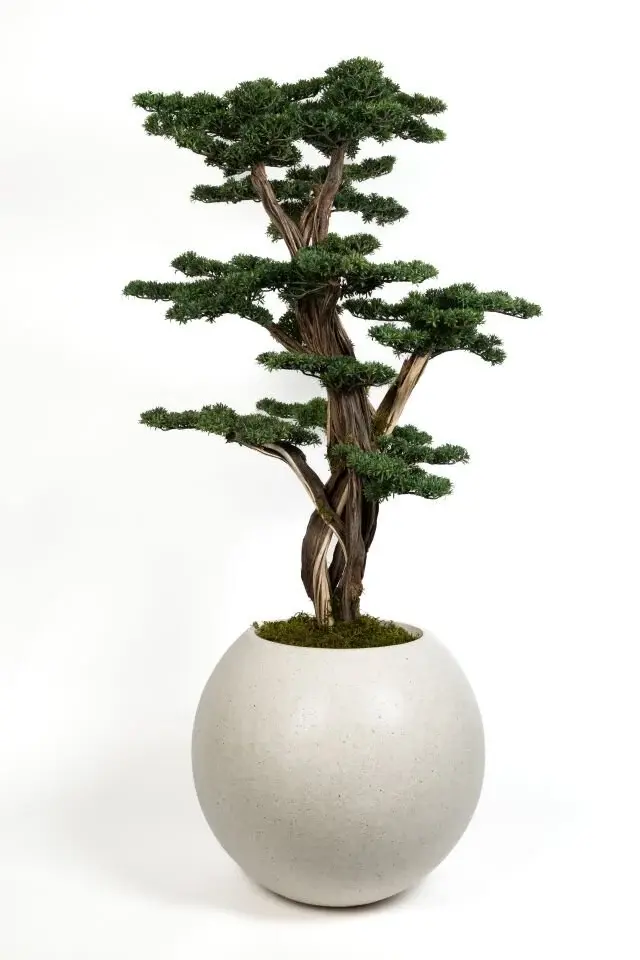 Doğal Gövdeli Yapay Bonsai Ağaç Saksılı 80 X 170 cm SA2194-029