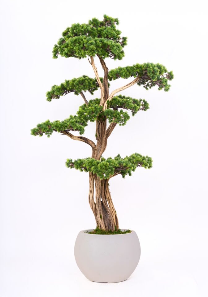 Doğal Gövdeli Yapay Bonsai Ağaç Saksılı 83 X 180 cm SA2236-001