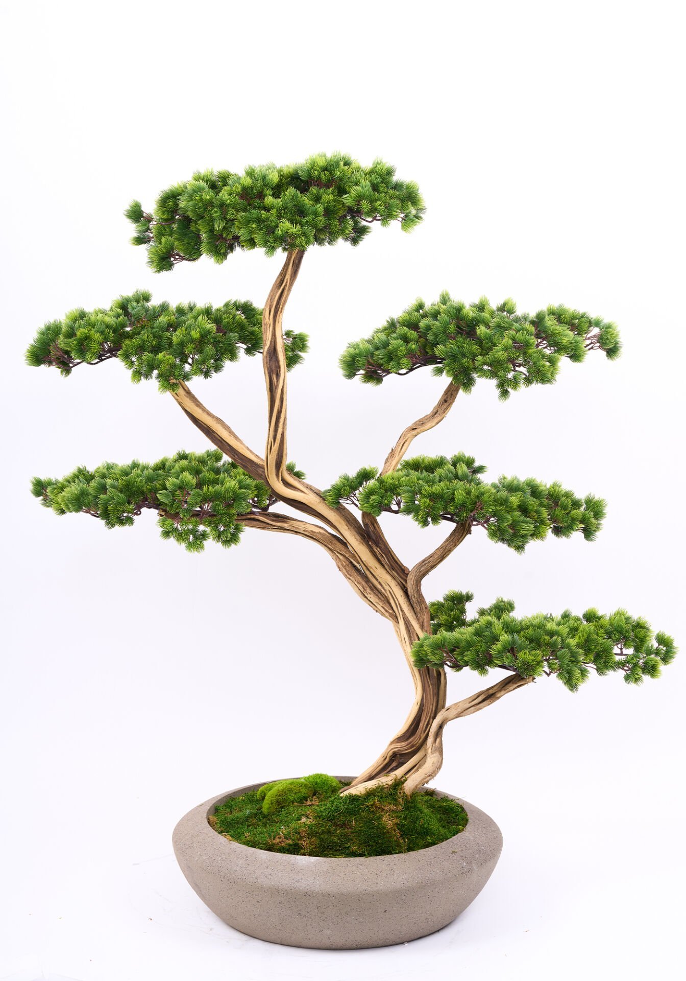 Doğal Gövdeli Yapay Bonsai Ağaç Saksılı 97 X 120 cm SA2236-005