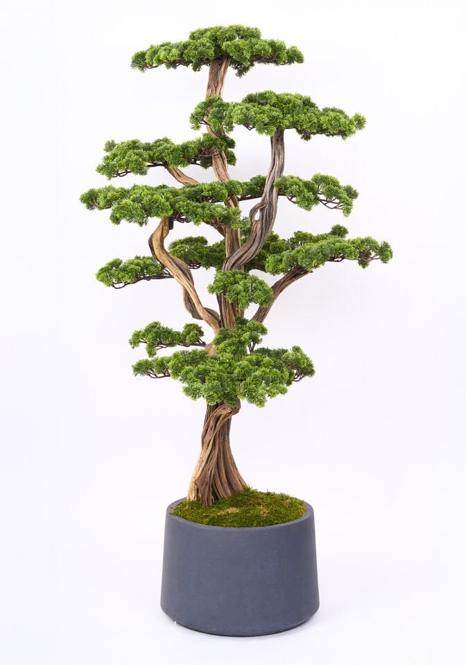 Doğal Gövdeli Yapay Bonsai Ağaç Saksılı 81 X 170 cm SA2238-001