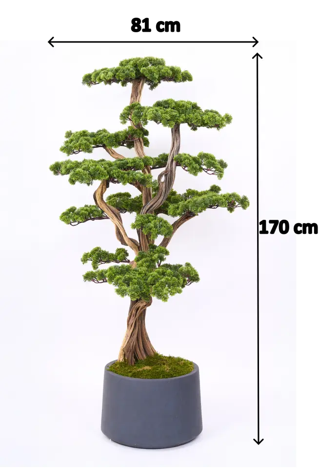 Doğal Gövdeli Yapay Bonsai Ağaç Saksılı 81 X 170 cm SA2238-001