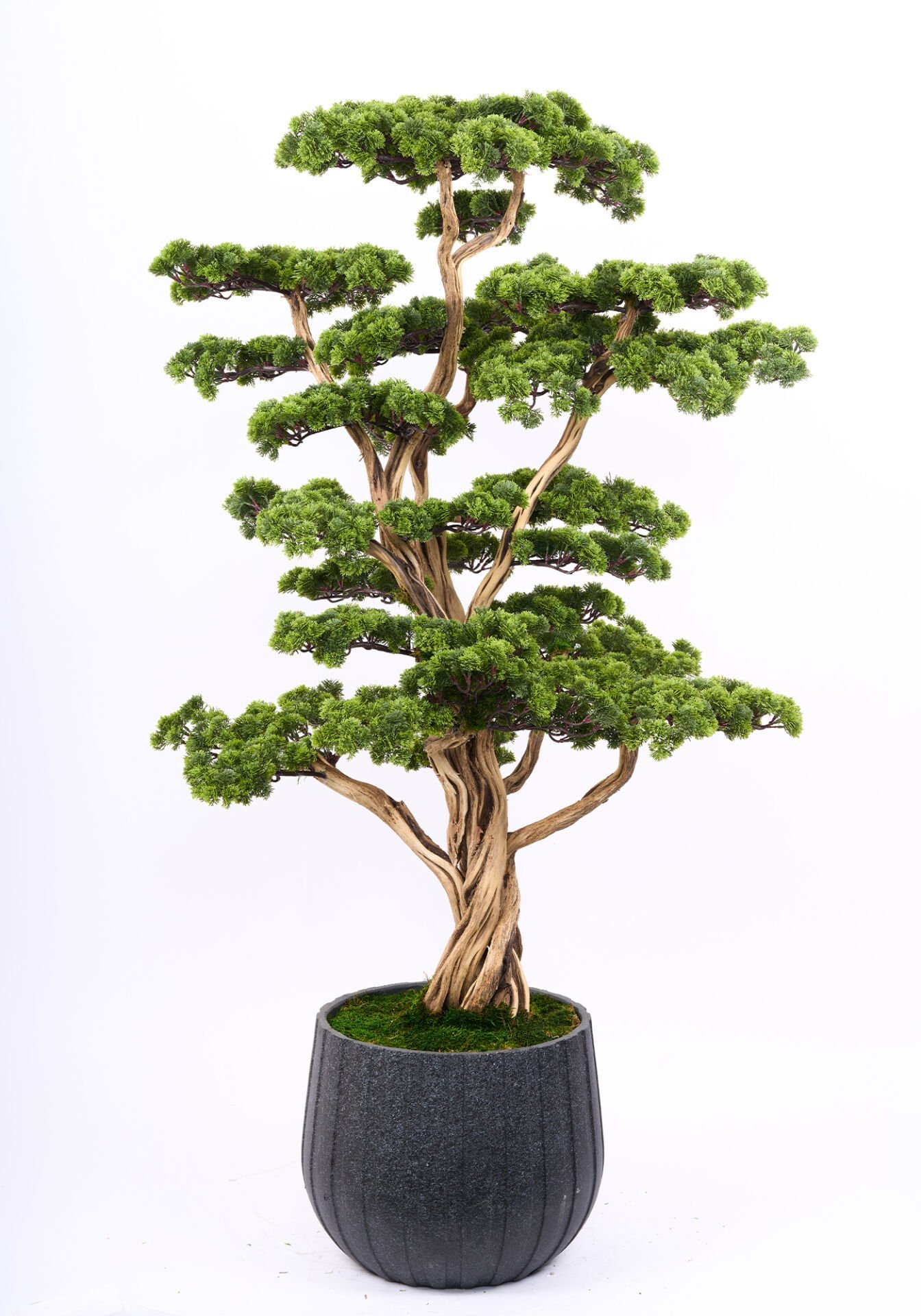 Doğal Gövdeli Yapay Bonsai Ağaç Saksılı 82 X 170 cm SA2238-002