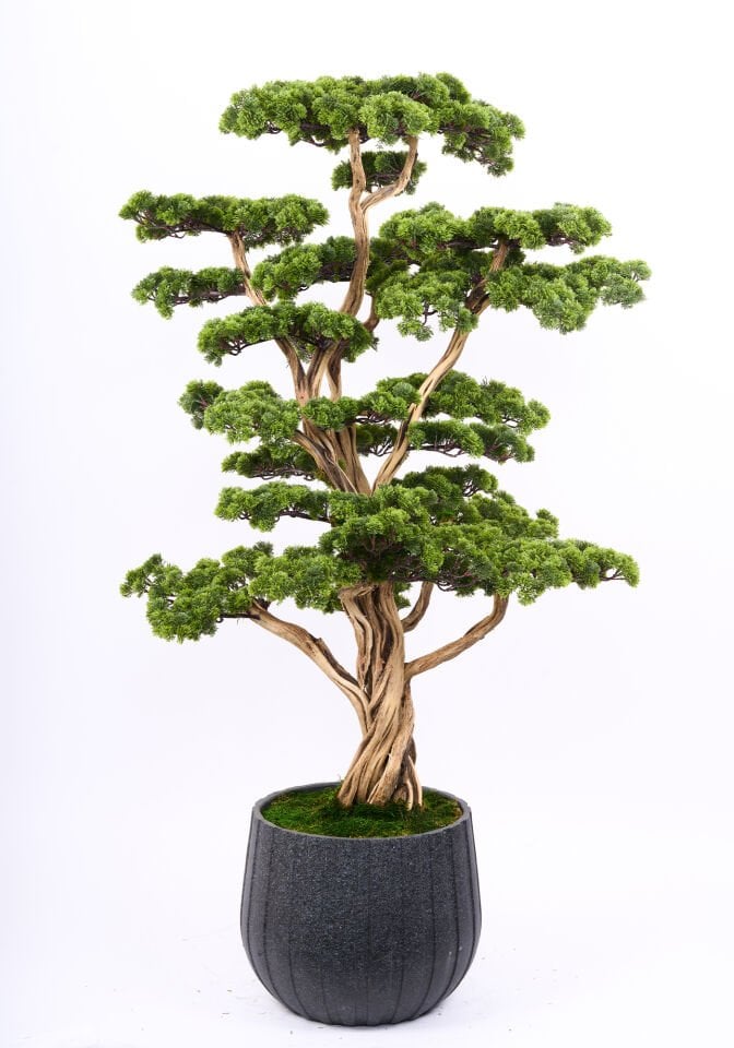 Doğal Gövdeli Yapay Bonsai Ağaç Saksılı 82 X 170 cm SA2238-002